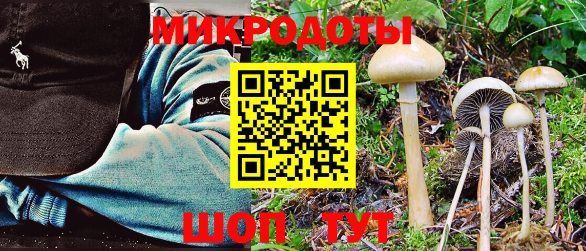 Галлюциногенные грибы прущие грибы  Вход с VPN  Псилоцибиновые грибы ЛСД  Пенза 
